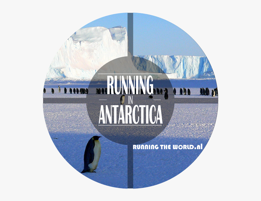 Running In Antarctica - Antarctica Background With Penguins, HD Png Download, Free Download