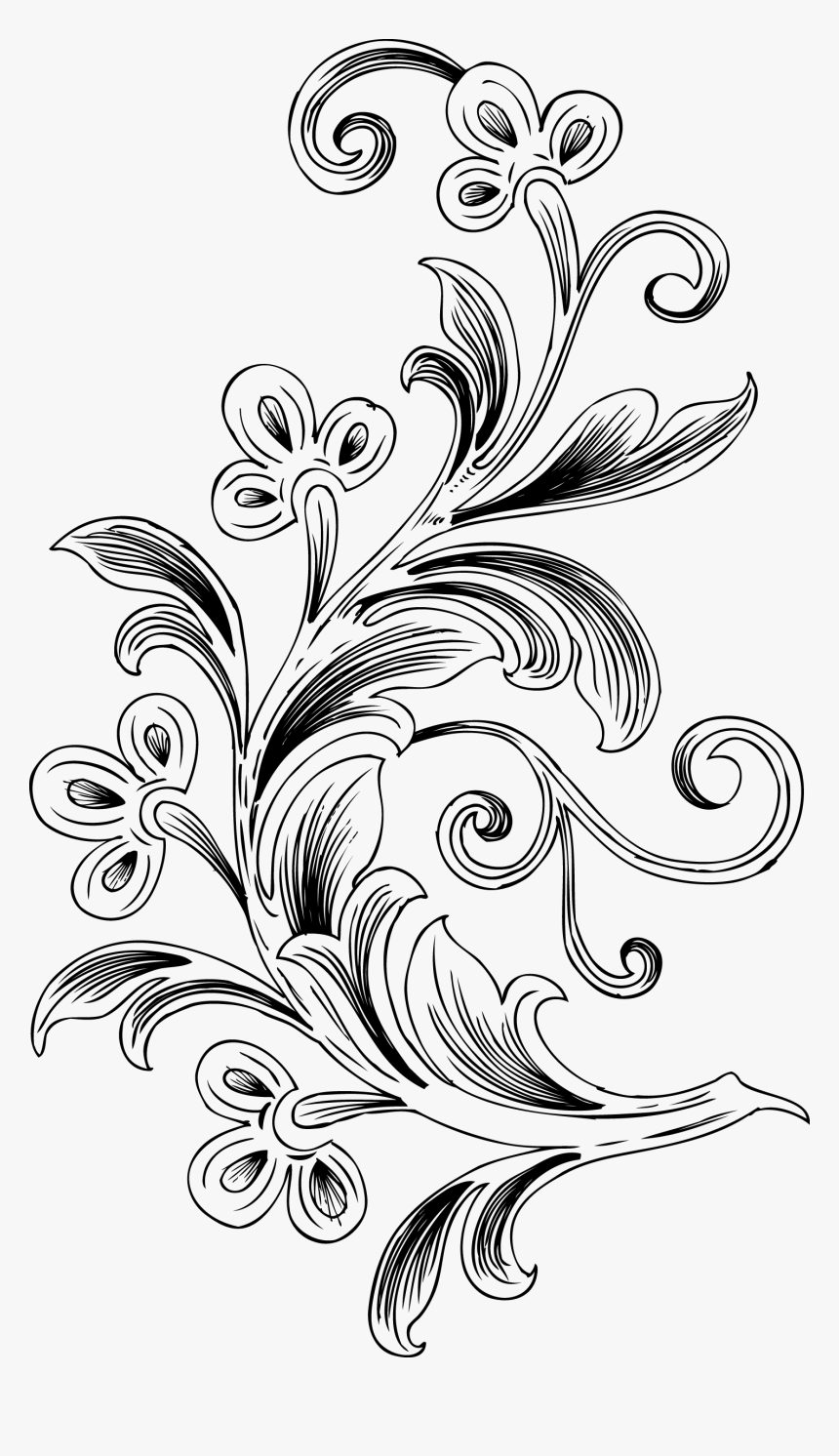 Free Floral Vector, HD Png Download - kindpng