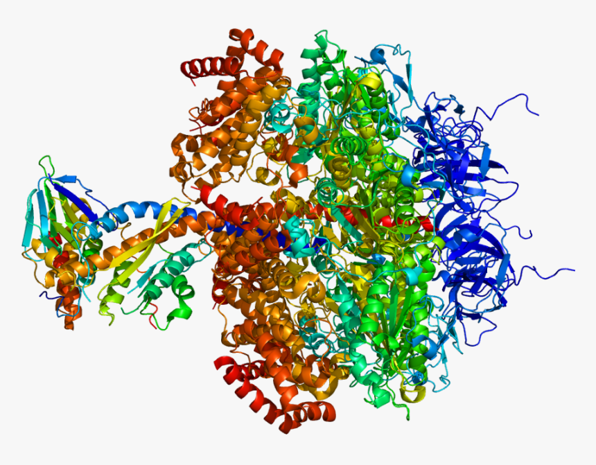 Protein Atp5e Pdb 1e79 - Embroidery, HD Png Download, Free Download