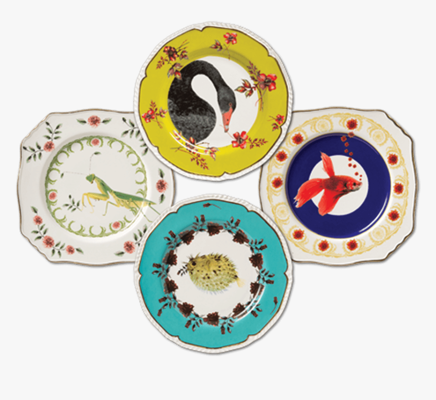 Lou Rota Anthropologie Plate, HD Png Download, Free Download