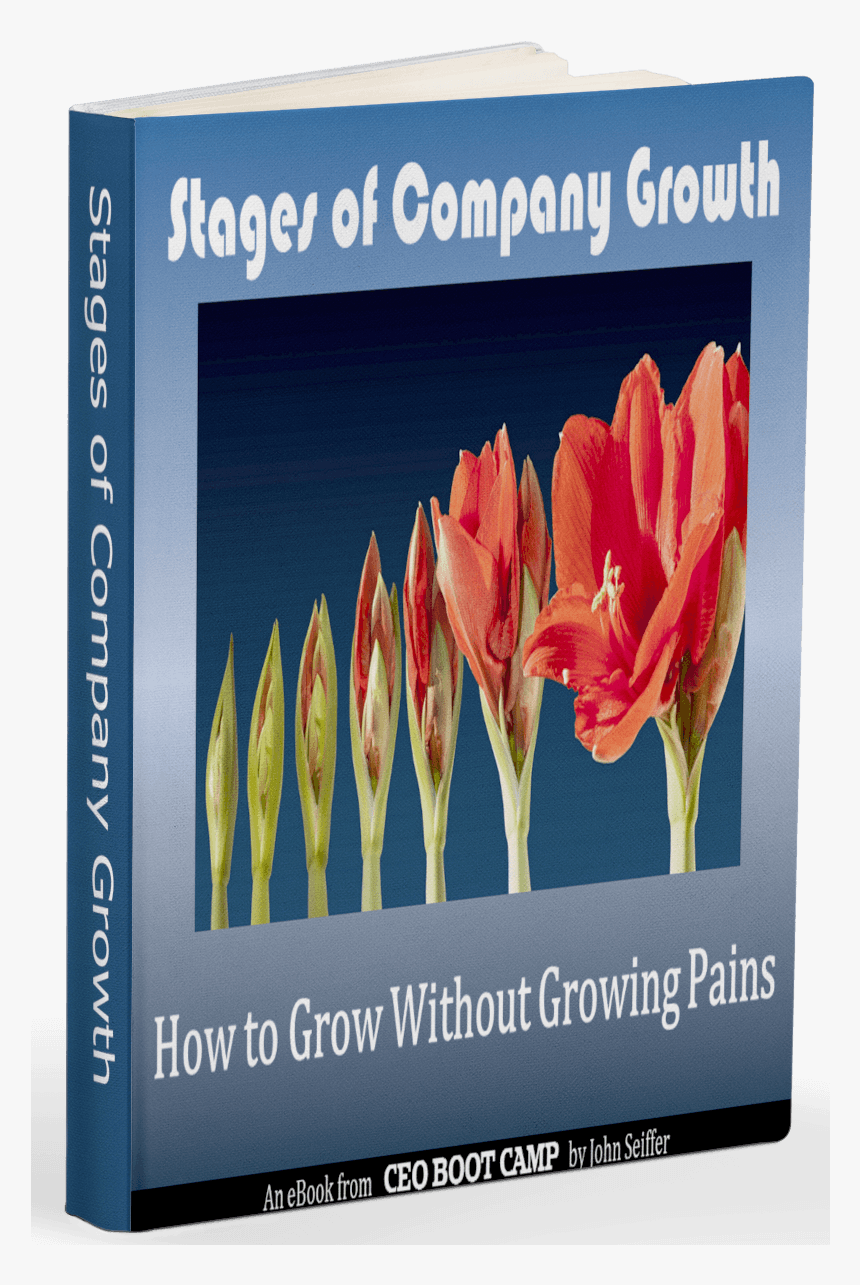 Stages Of Company Growth Ebook - Bird Of Paradise, HD Png Download, Free Download