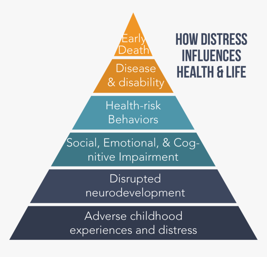 Aces Pyramic With Header - Customer Loyalty Segmentation, HD Png ...