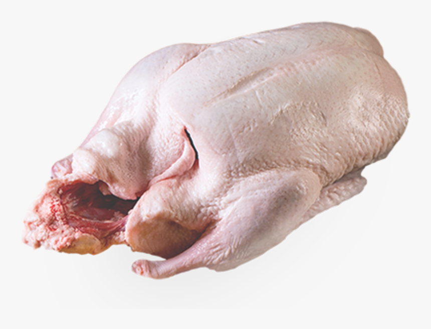 Meru Global Exim - Turkey Meat, HD Png Download, Free Download