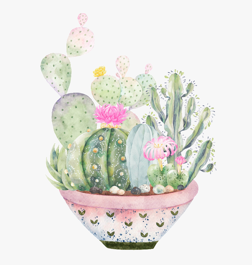 Hand-painted A Large Plate Of Plants Png Transparent - Cacti Png Images With Transparent Background, Png Download, Free Download