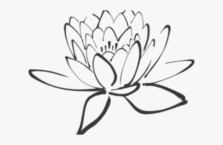 Transparent Orange Flower Clipart - Clipart Purple Lotus Flower, HD Png Download, Free Download