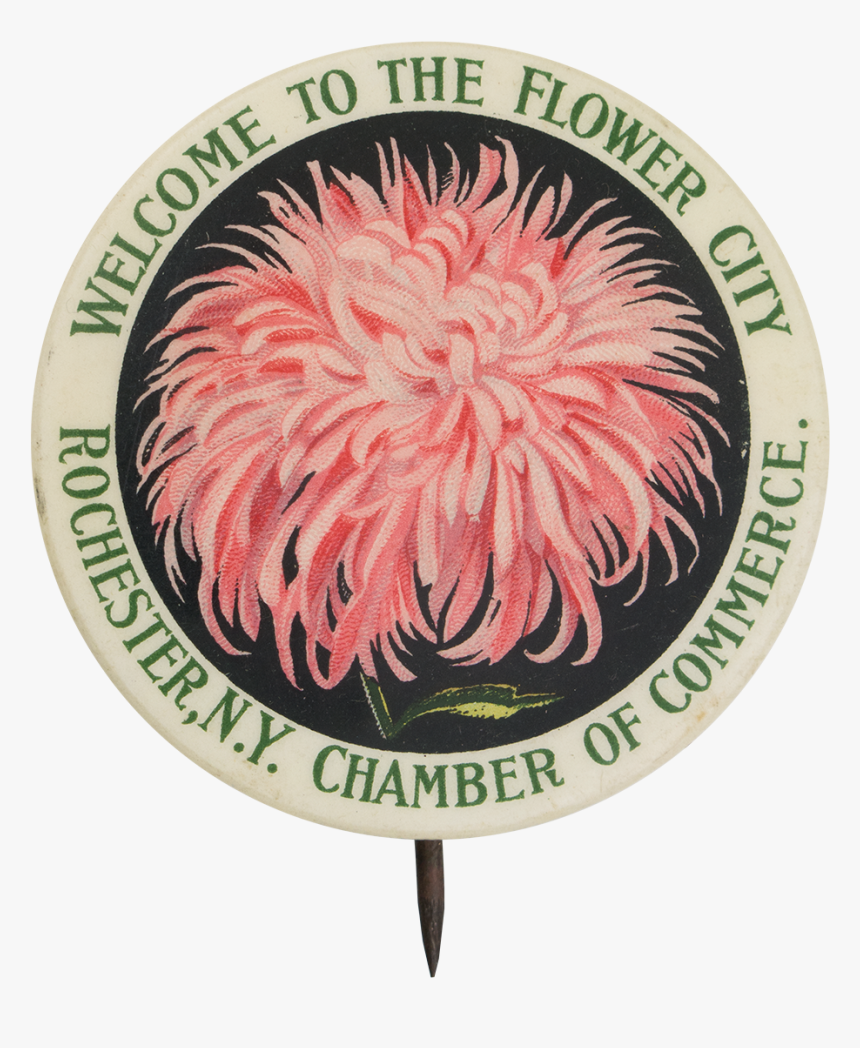 Welcome To The Flower City Event Button Museum - United States Department Of Labor Seal, HD Png Download, Free Download