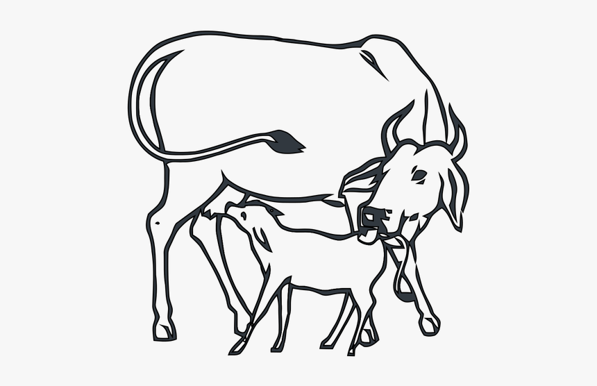 Drawing Cow With Calf, HD Png Download, Free Download