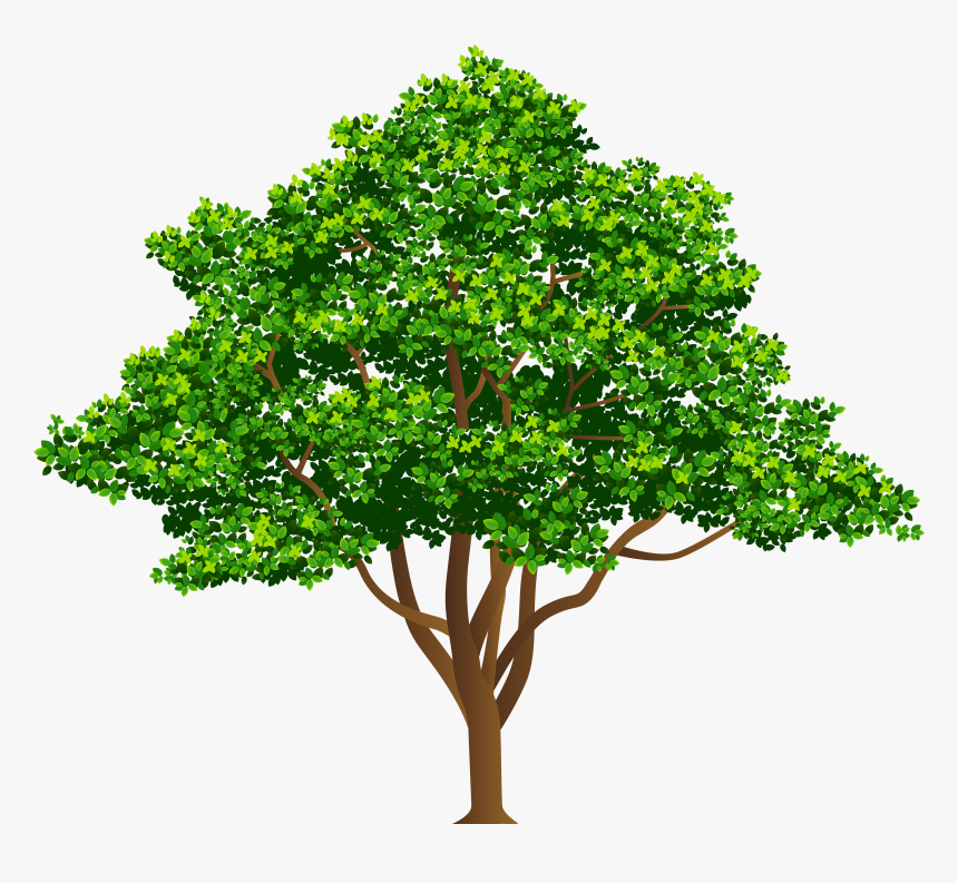 Free Png Trees りんご の 木 イラスト Transparent Png Kindpng