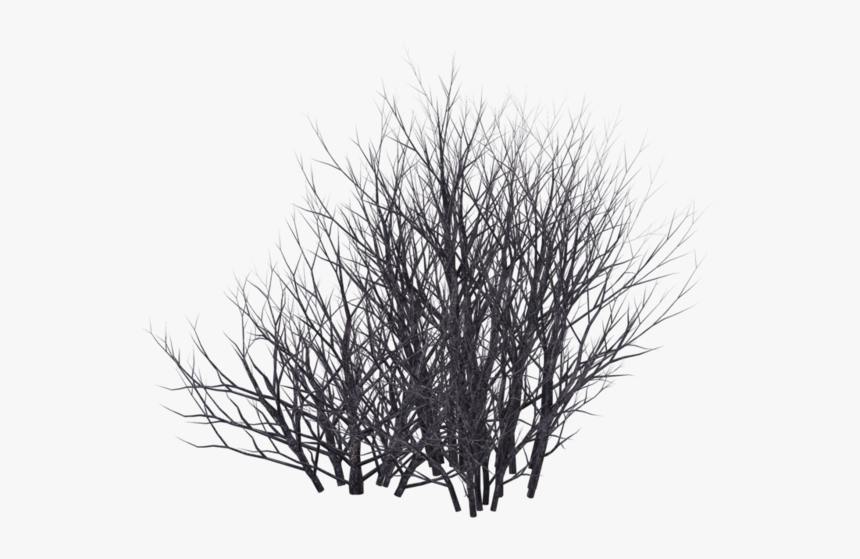 Winter Bush 08 By Wolverine04 - Transparent Background Bush Silhouette Png, Png Download, Free Download