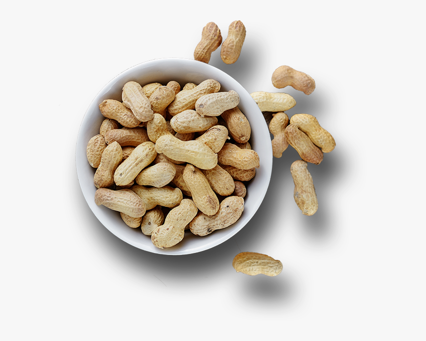 Groundnuts Png, Transparent Png, Free Download