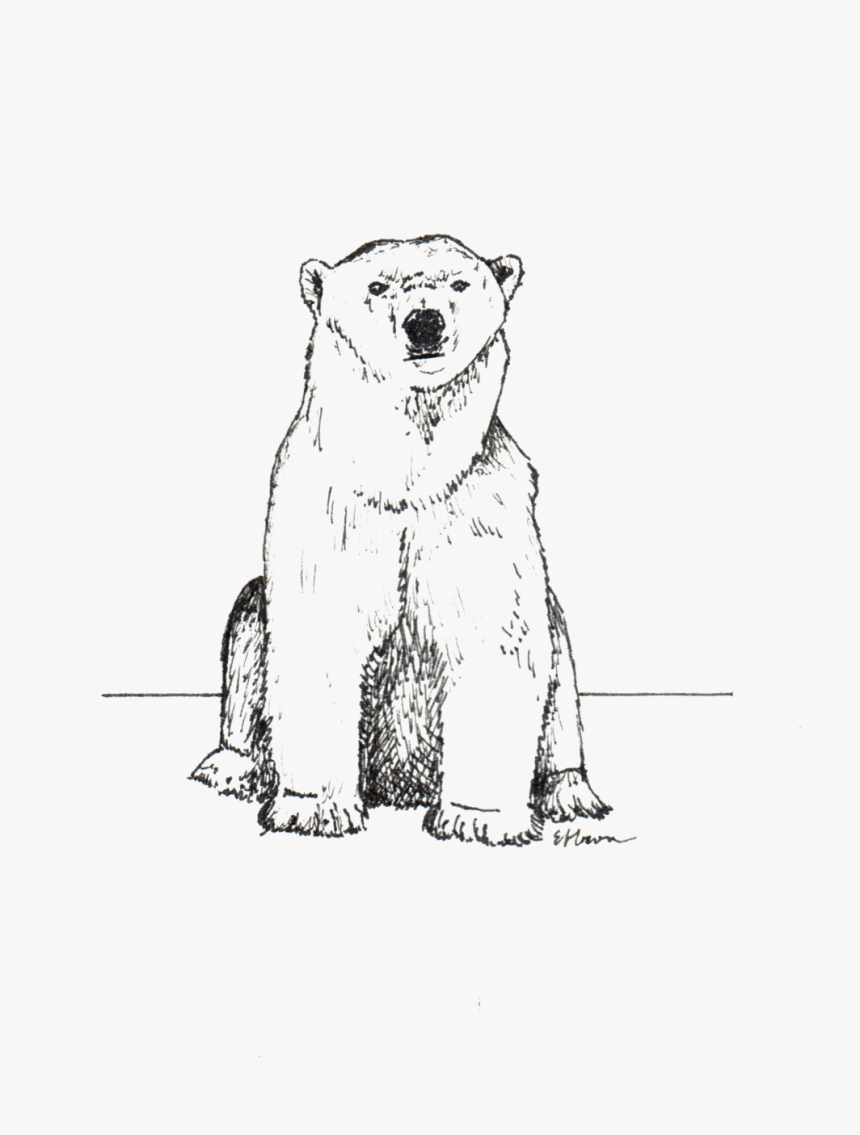 Polar Bear, HD Png Download, Free Download