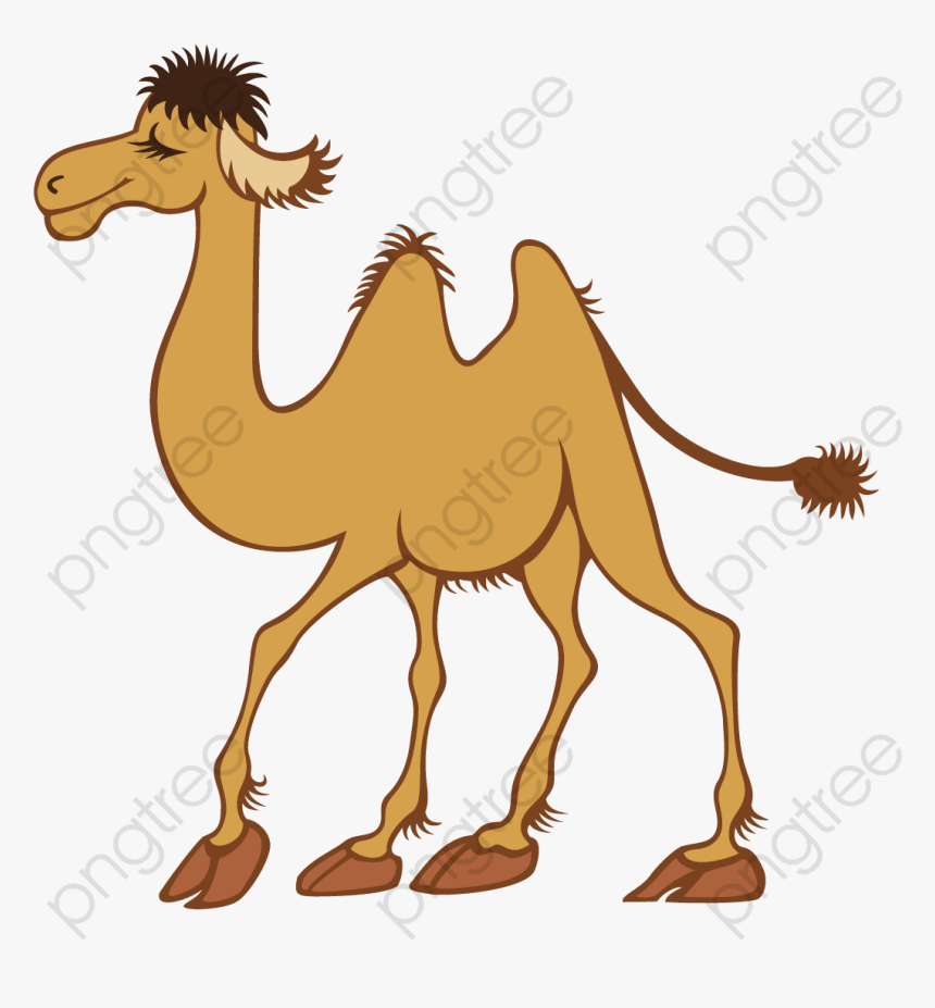 Arabian Camel, HD Png Download, Free Download