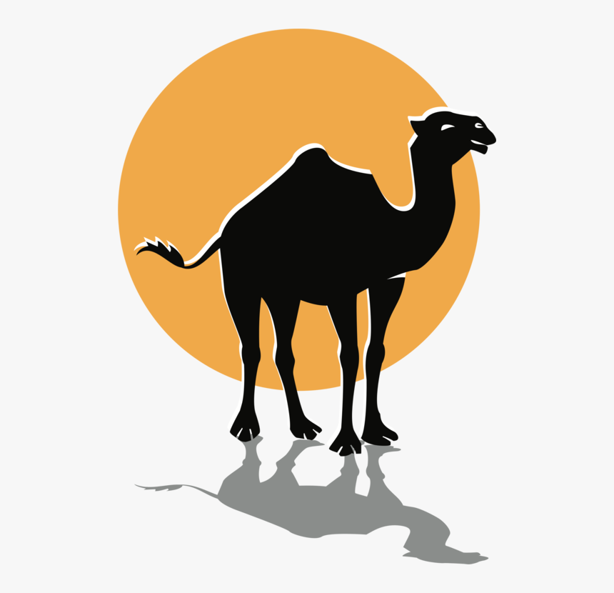Fawn,wildlife,silhouette - Arabian Camel, HD Png Download, Free Download