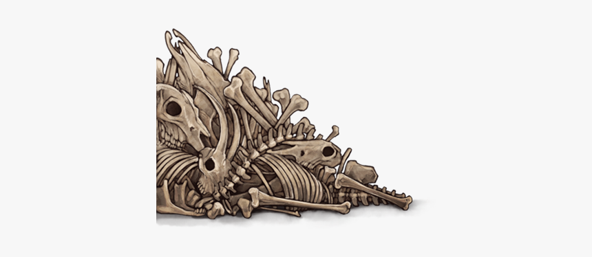 Bone Pile Png - Pile Of Bones Png, Transparent Png, Free Download