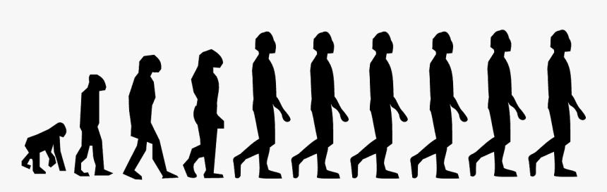 Evolution, Charles Darwin, Man, Walking, Upright - Human Evolution, HD Png Download, Free Download