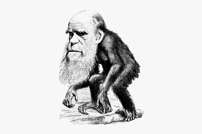 Charles Darwin, HD Png Download, Free Download