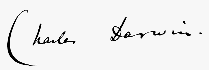 Charles Darwin Signature, HD Png Download, Free Download