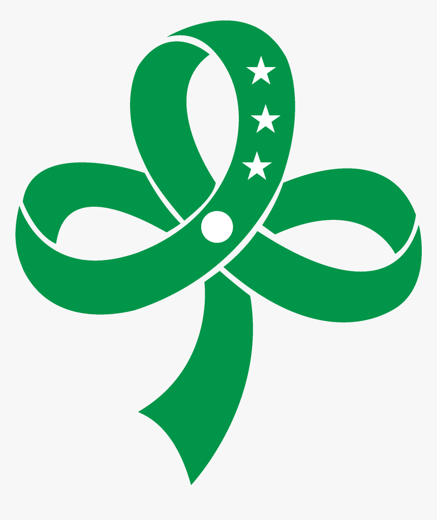 Girl Scout Of The Philippines Flag