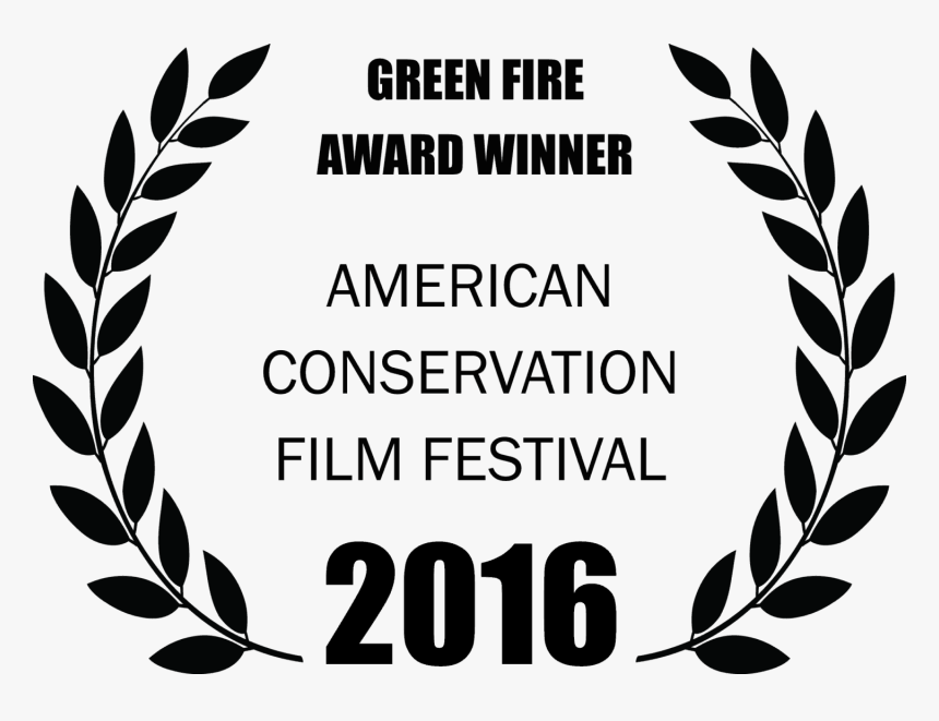 Acff 2016 Green Fire Winner Laurels Large - Leaves Around Logo Png, Transparent Png, Free Download