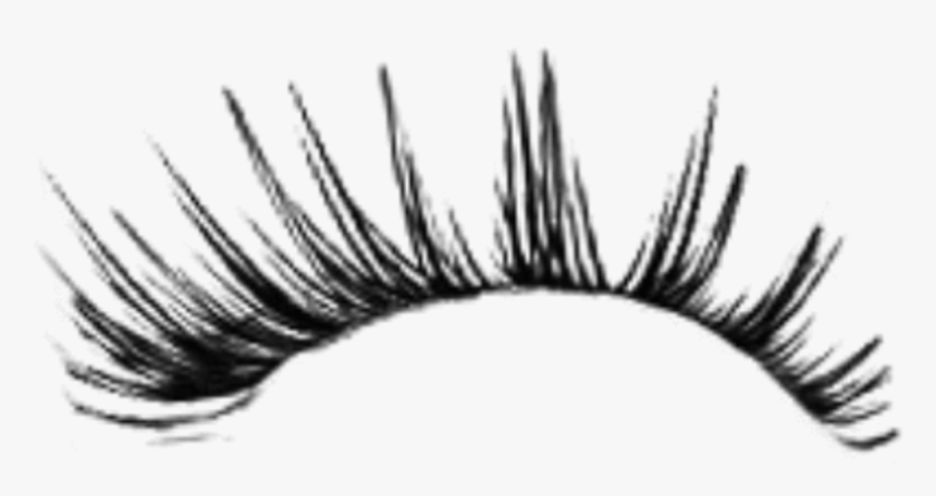 Hd Image Freeuse Eyelash Clipart Tumblr Transparent - Transparent Background Eyelashes Png, Png Download, Free Download