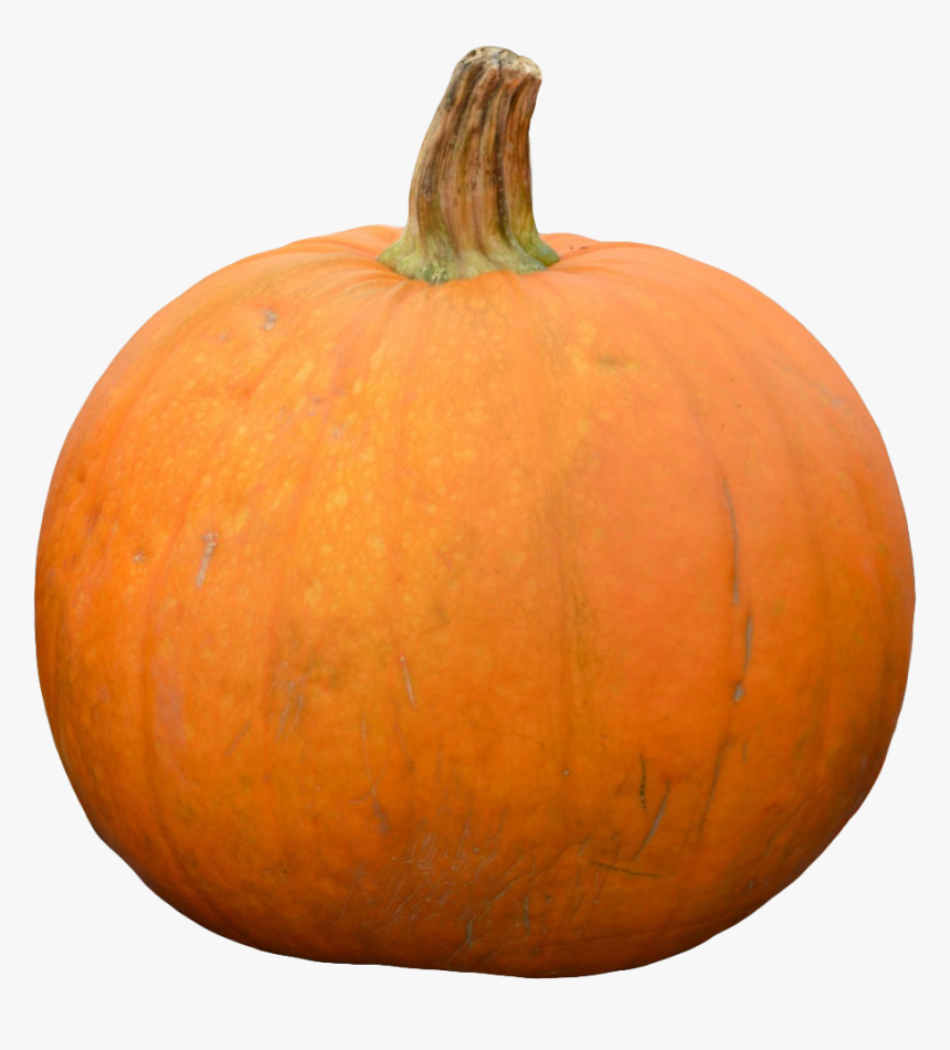 Pumpkin Png Transparent, Png Download, Free Download