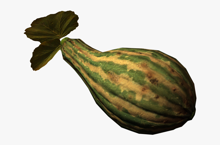 Elder Scrolls - Skyrim Gourd, HD Png Download, Free Download