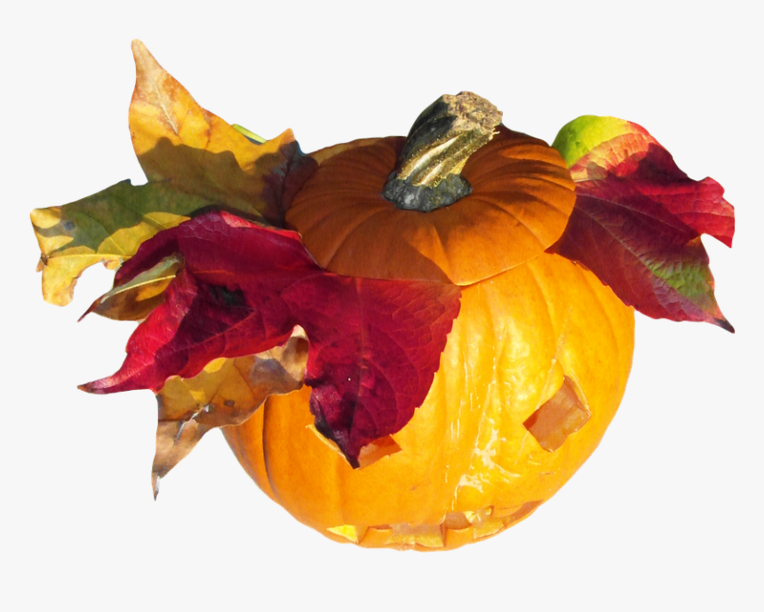 Pumpkin, Gourd, Harvest, Thanksgiving, Orange, Autumn - Pumpkin, HD Png Download, Free Download