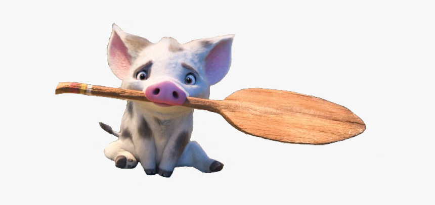 Moana Pua Pig Oar Character Disney Cute Adorable Cute Pua From Moana Hd Png Download Kindpng