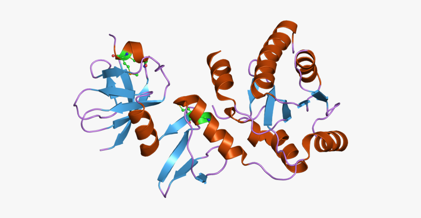 Pdb 2q07 Ebi, HD Png Download, Free Download