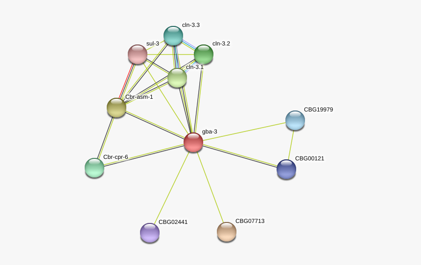 Gba-3 Protein - Circle, HD Png Download, Free Download