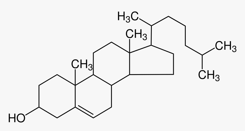 Cholestérol Structure, HD Png Download, Free Download