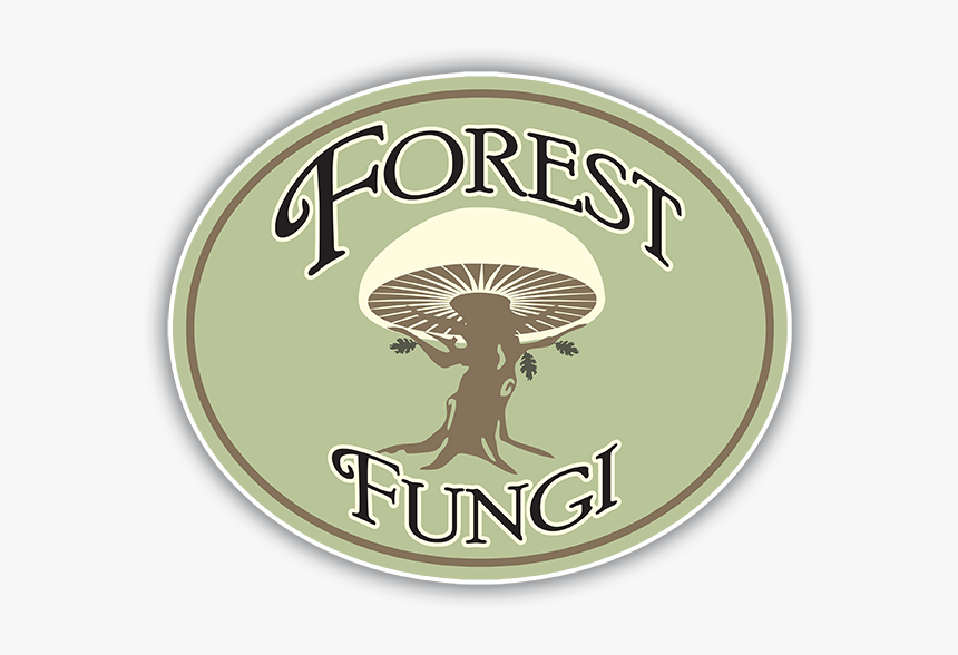 Forest Fungi Logo With A Shadow - Logo Shrooms, HD Png Download, Free Download