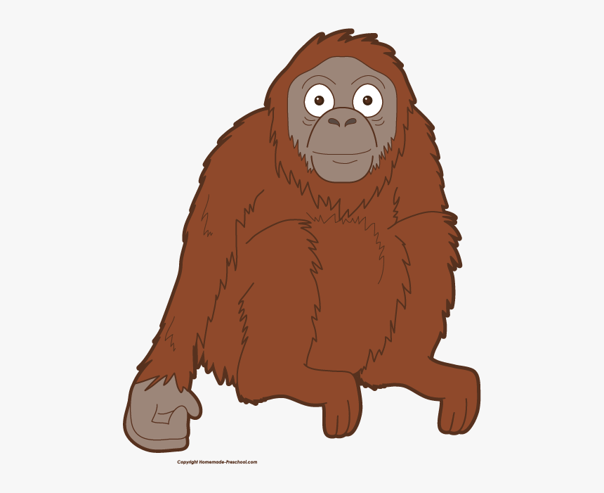 Orangutan Clipart Png, Transparent Png, Free Download