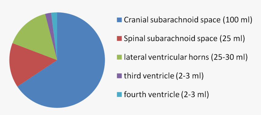 Amount And Constitution Of Cerebrospinal Fluid, HD Png Download, Free Download