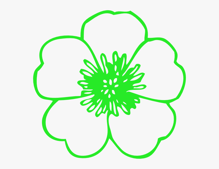 Green Buttercup Svg Clip Arts - Flowers With No Color, HD Png Download, Free Download