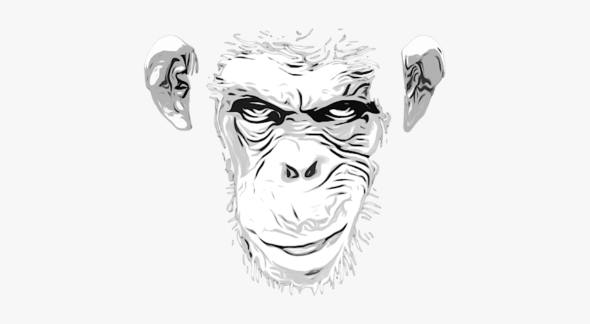 Monkey Grin Drawing, HD Png Download, Free Download