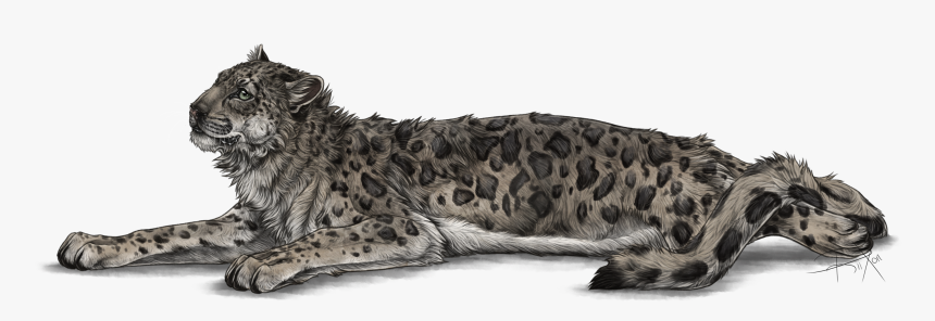 Transparent Snow Leopard Clipart, HD Png Download, Free Download