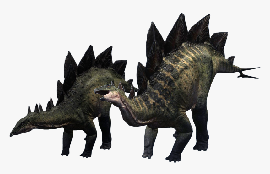 Stegosaurus Png Clipart, Transparent Png, Free Download