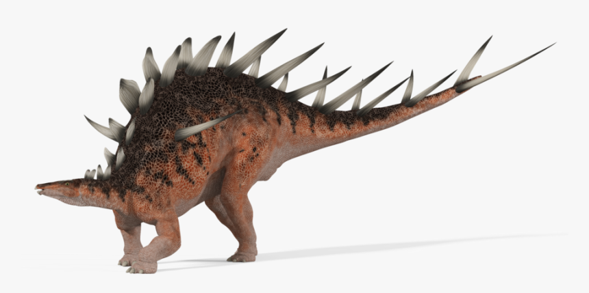 Kentrosaurus, HD Png Download, Free Download