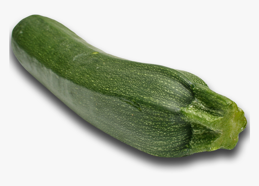 Zucchini Png, Transparent Png, Free Download