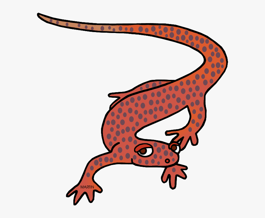 Tennessee State Amphibian, HD Png Download, Free Download