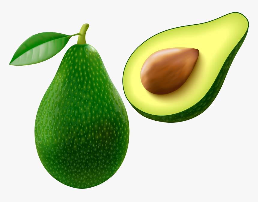 Avocado Png Vector Clipart Image, Transparent Png, Free Download