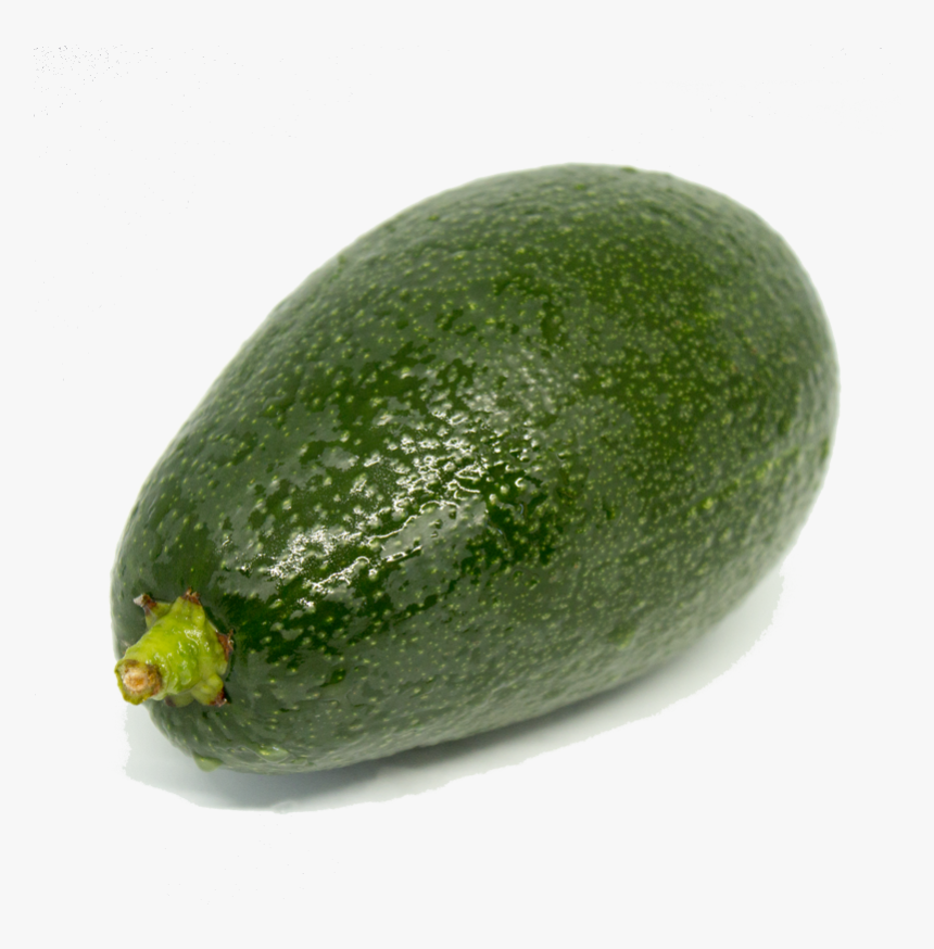 Avocado, HD Png Download, Free Download