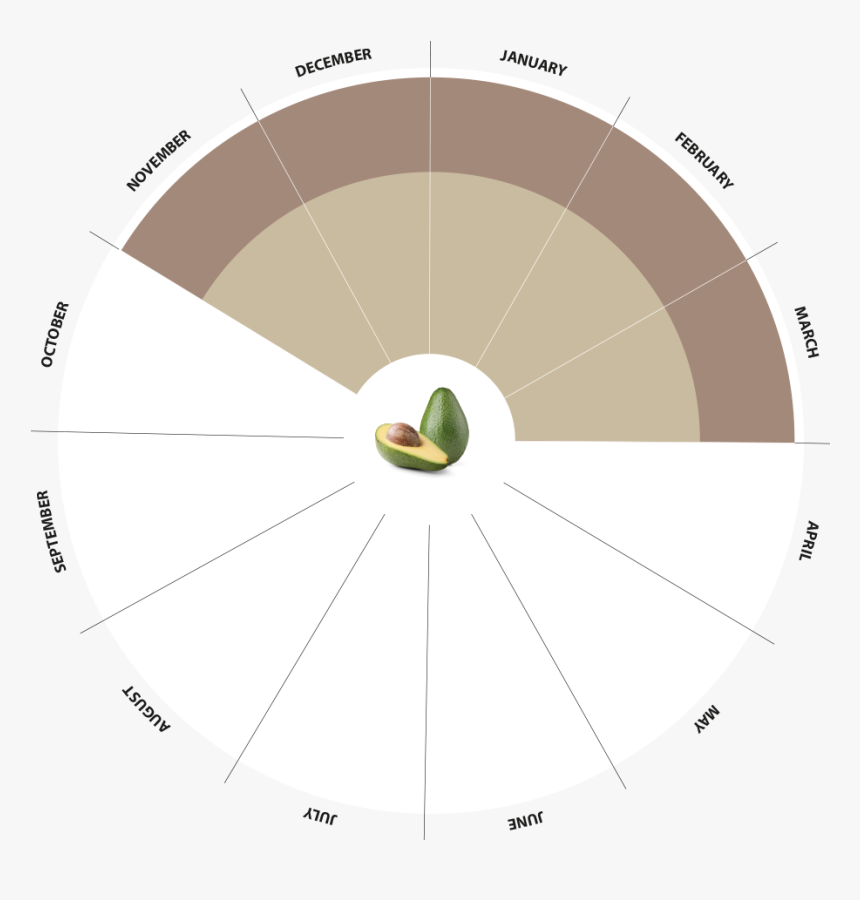 Bio Avocado Production Calendar - Circle, HD Png Download, Free Download