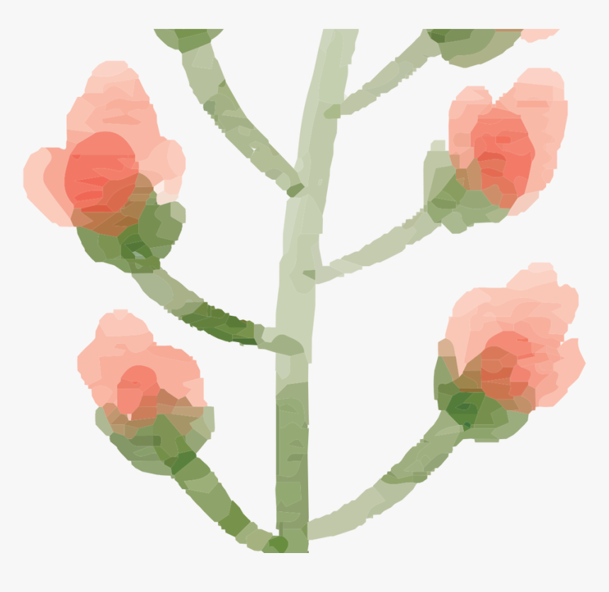 Transparent Free Watercolor Flower Png - Peach Flower Watercolor Png, Png Download, Free Download