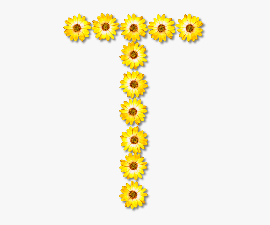 Sunflower Seed,plant,flower - Sunflowers Letter Y Png, Transparent Png, Free Download