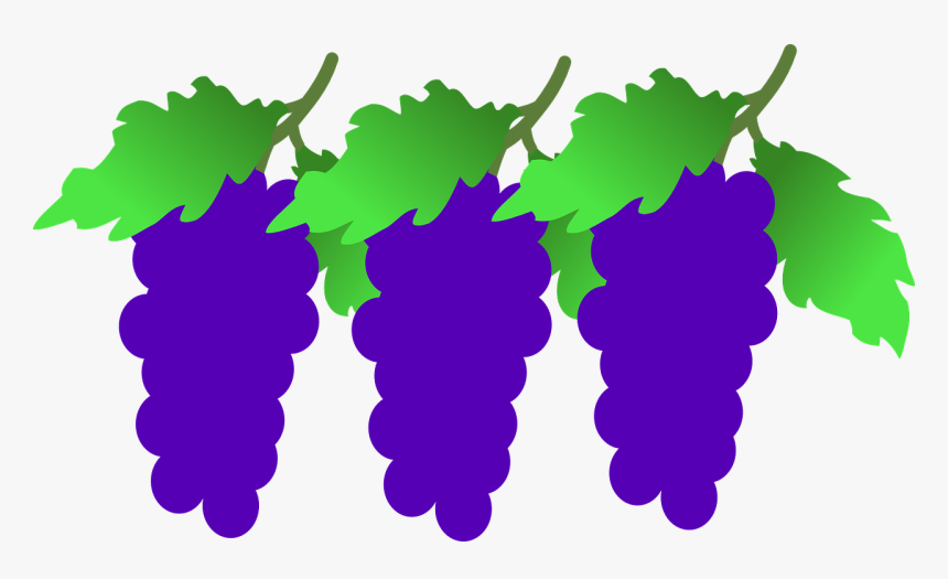 Bunch Of Grapes Clipart, HD Png Download, Free Download