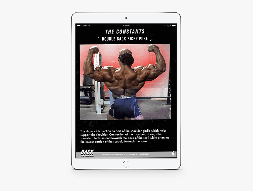 Bodybuilding, HD Png Download, Free Download