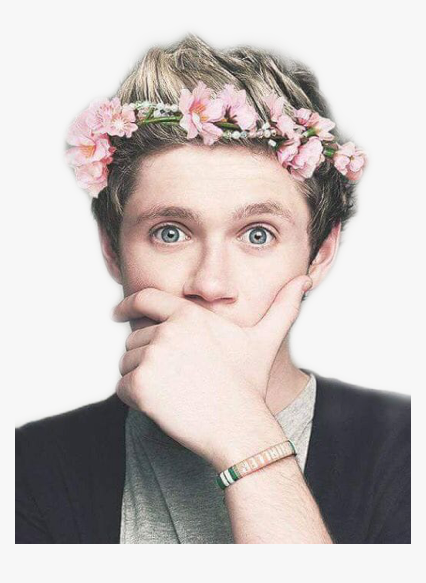 Niall Horan With Flower , Png Download - Niall Horan, Transparent Png, Free Download