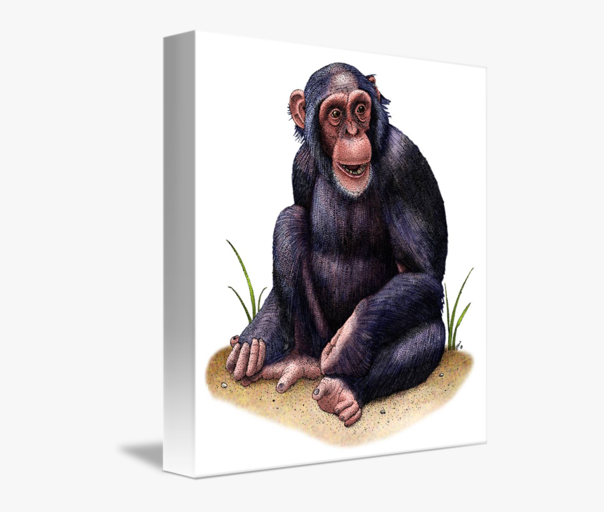 Chimp Drawing Pen - Chimpanzee Drawing With Color, HD Png Download, Free Download